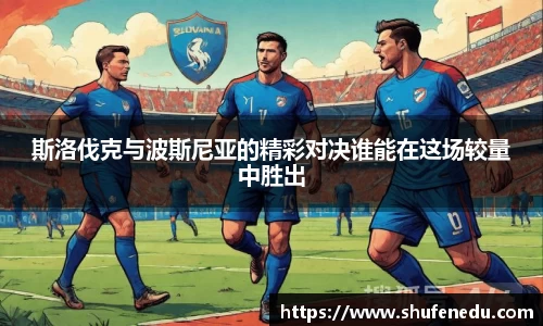 斯洛伐克与波斯尼亚的精彩对决谁能在这场较量中胜出